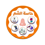 نشاط الحواس الخمسة